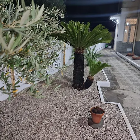 Apartament Leonida