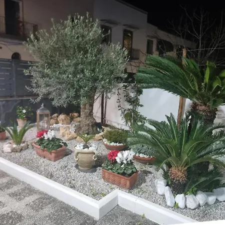 Apartment Leonida *