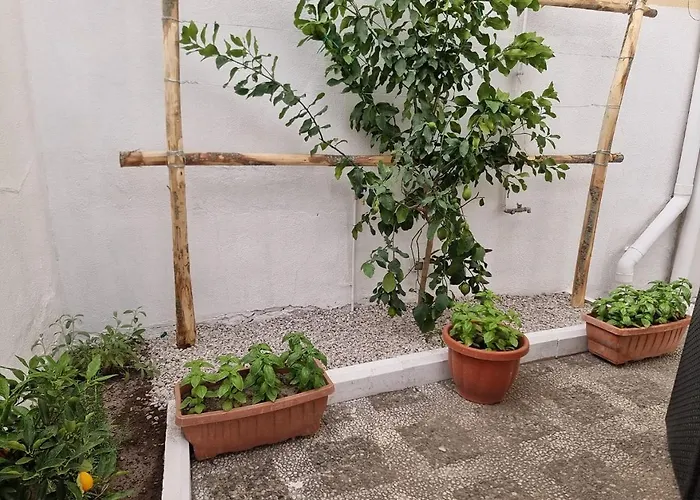 Leonida Boscotrecase